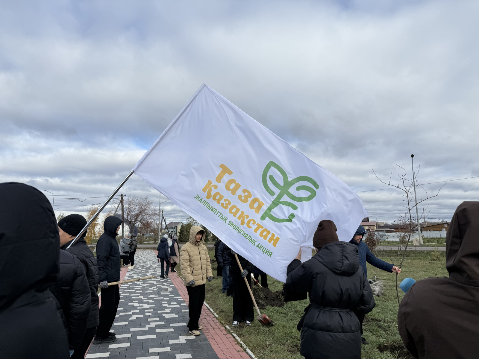 Серебряные волонтеры помогли высадить деревья на новой аллее в Петропавловске