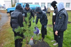 Аллею «Связь поколений» высадили в районе М. Жумабаева СКО