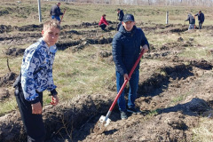 К экоакции "Посади дерево" присоединились жители района М. Жумабаева СКО