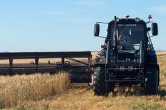 Начало уборки и День поля отметили аграрии северного Казахстана