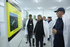 Золото степей: первую ферму по производству сухого кобыльего молока открыли в СКО