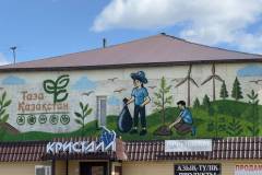 Новые муралы появились в городе Тайынша Северо-Казахстанской области