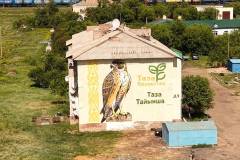 Новые муралы появились в городе Тайынша Северо-Казахстанской области