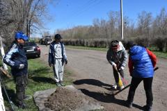 Малину, вишню и смородину посадили во время субботника в Уалихановском районе СКО