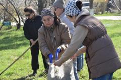 Малину, вишню и смородину посадили во время субботника в Уалихановском районе СКО