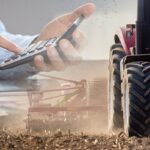 СҚО-да шаруалар субсидиядан қағылуда