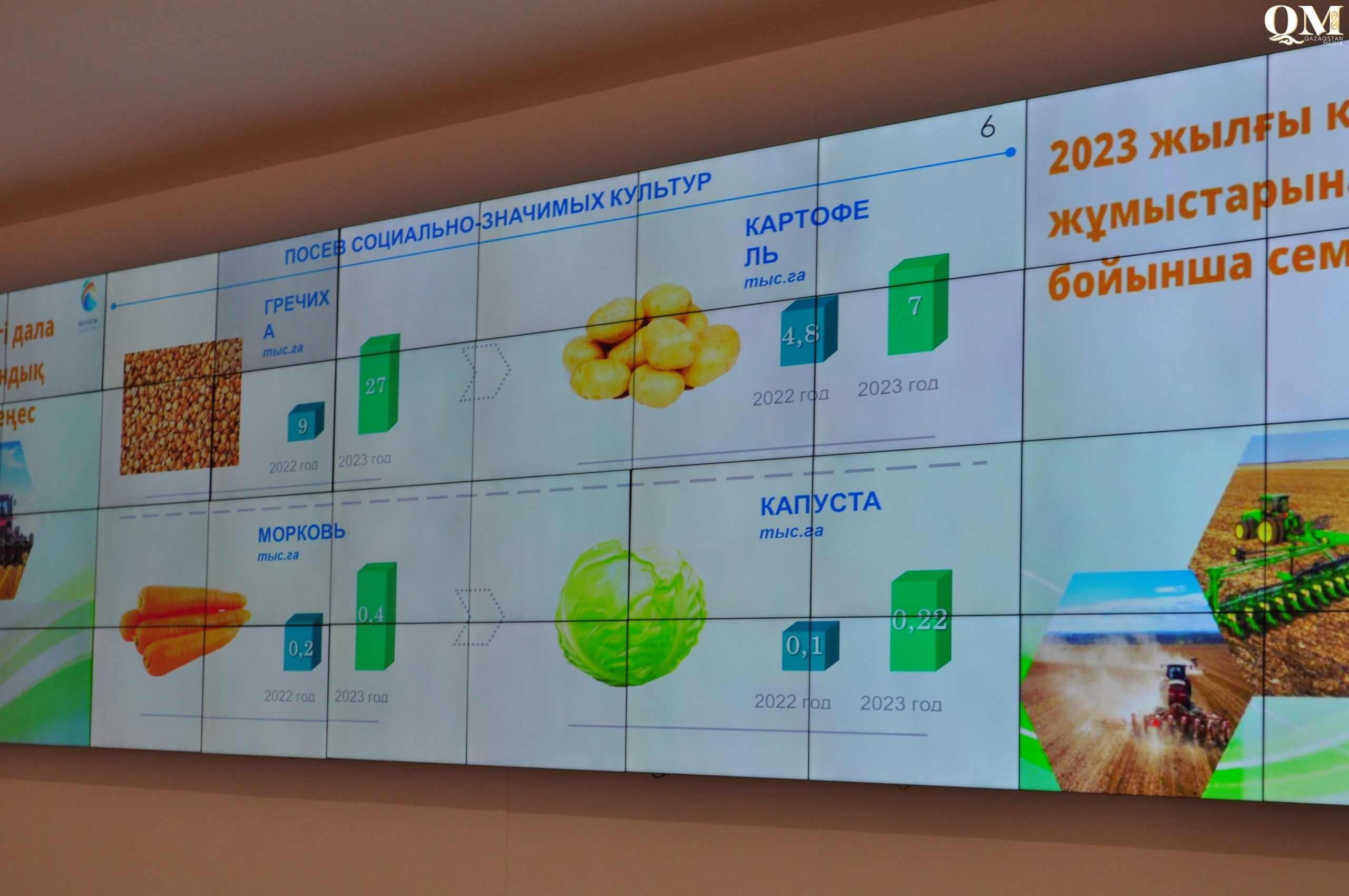 В разы увеличат посевной клин под гречиху и овощи фермеры СКО