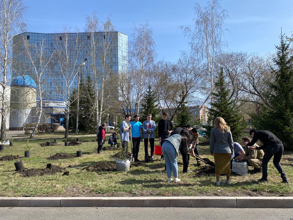 Реликтовые деревья посадили в Петропавловске