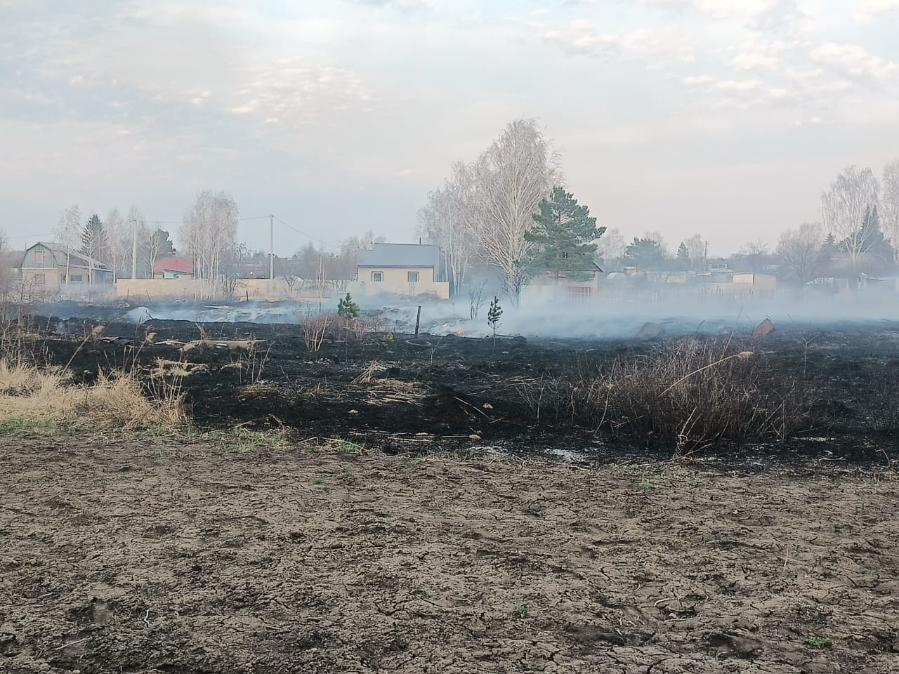 Три дачных кооператива спасли от пожара в СКО