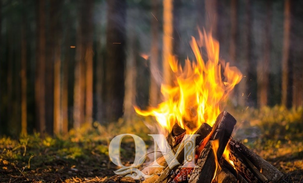 Видеосистему раннего обнаружения пожаров установят в СКО