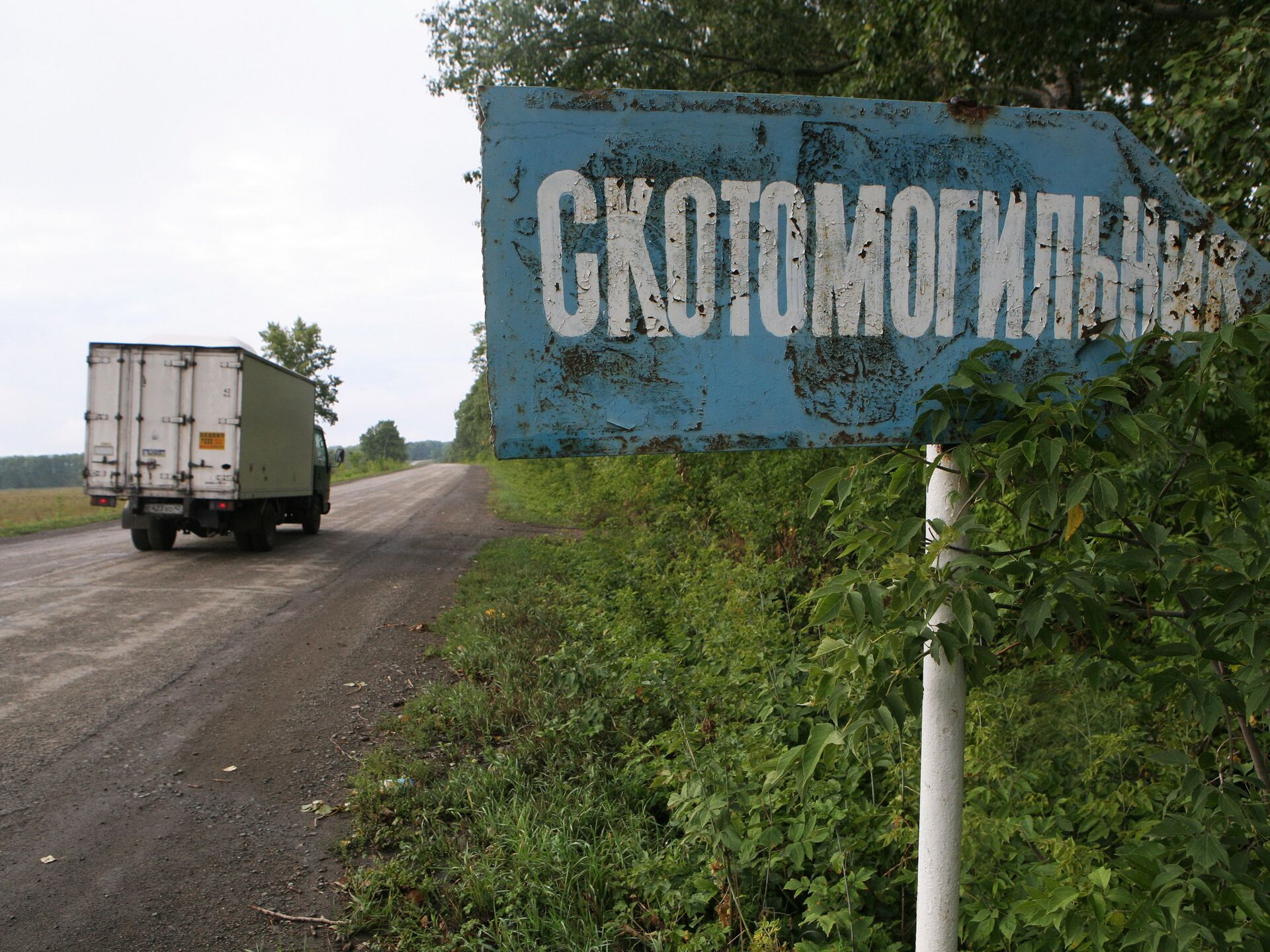 Скотомогильников, соответствующих санитарным требованиям, нет в СКО