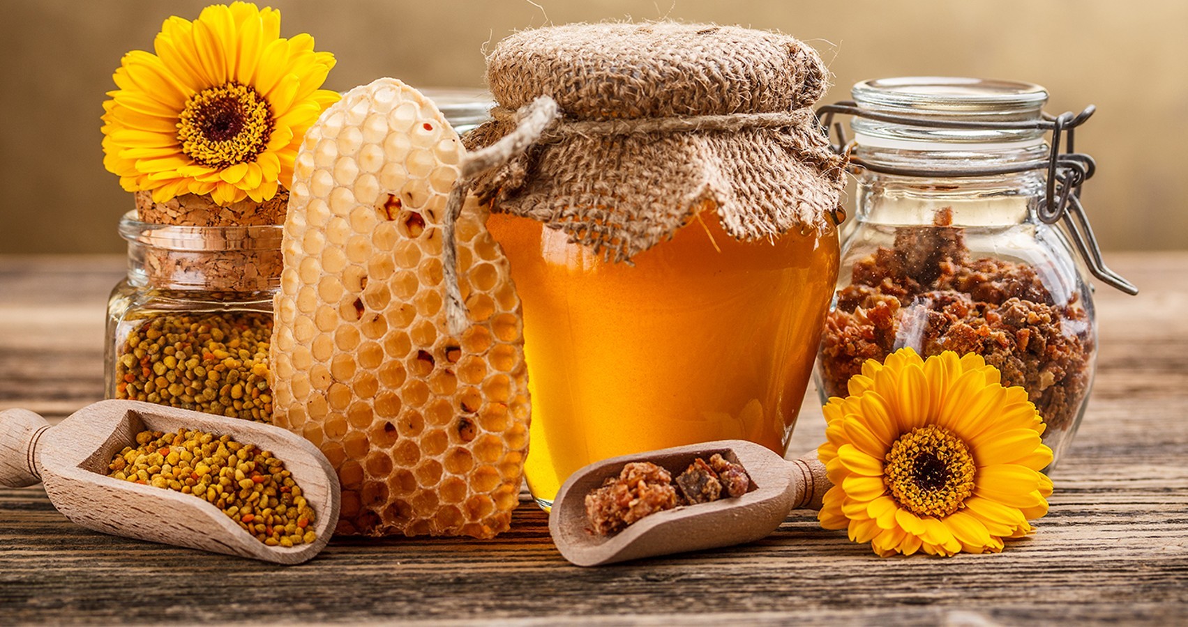 500 тонн мёда намерены собрать пчеловоды в СКО