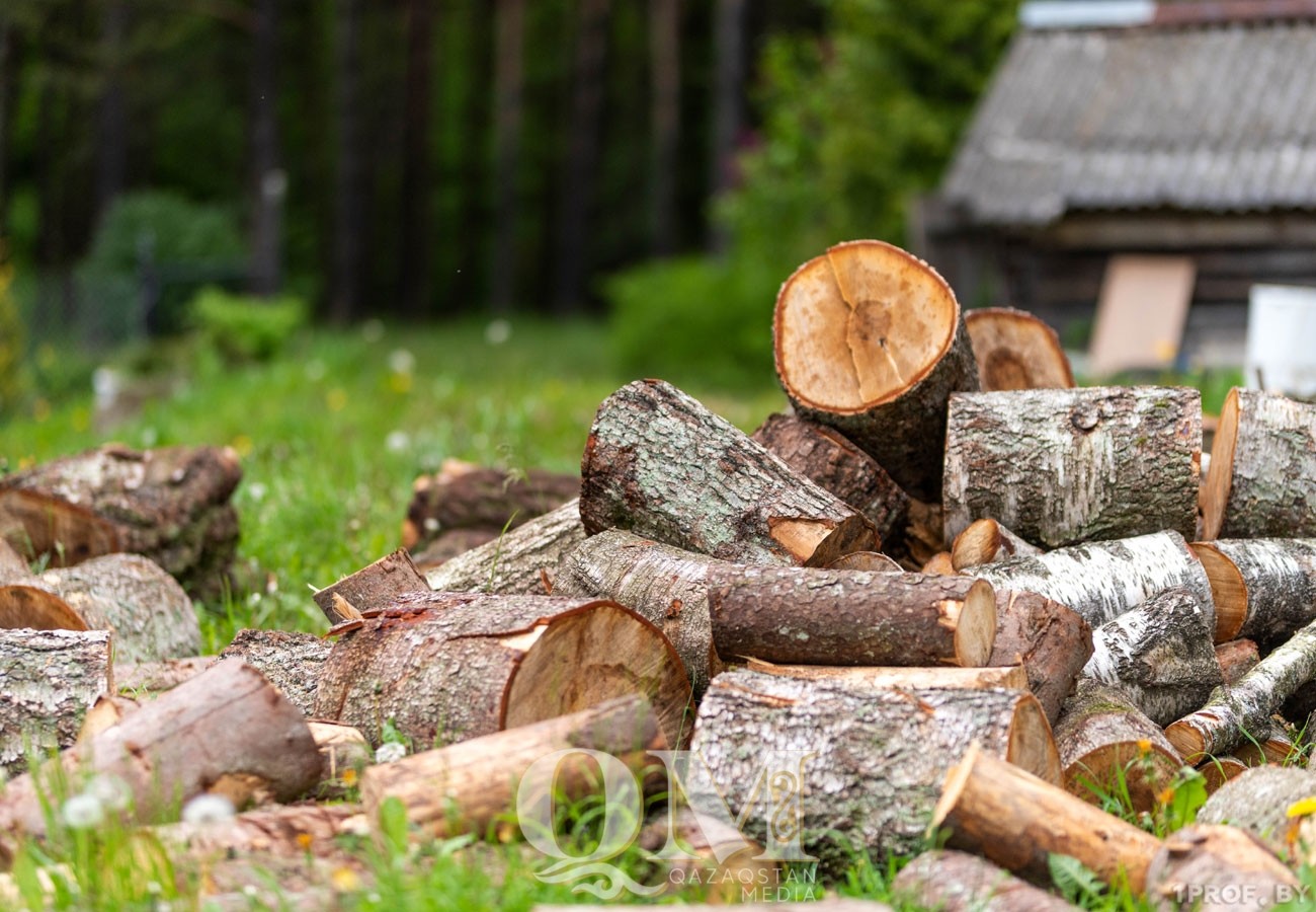 Сколько дров на зиму требуется жителям СКО