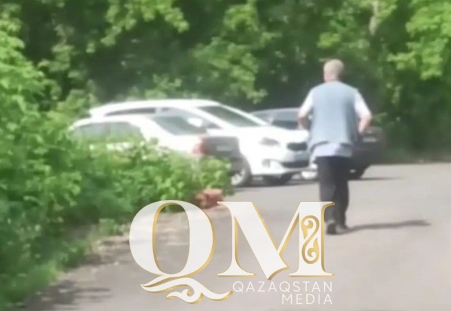 Петропавлда 63 жастағы ер адам кішкентай қыздарға тиісіп, әуретті жерін көрсеткен