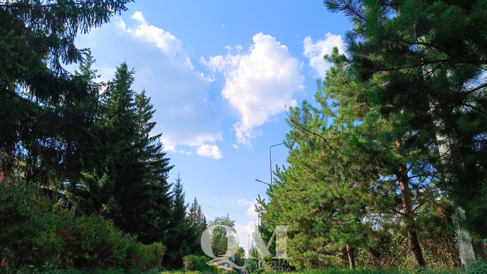 Туман, жара и ветер. Какая погода будет в СКО в августе