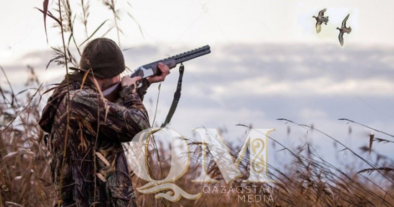 Охота в СКО: когда можно стрелять дичь, кабана, косуль и маралов