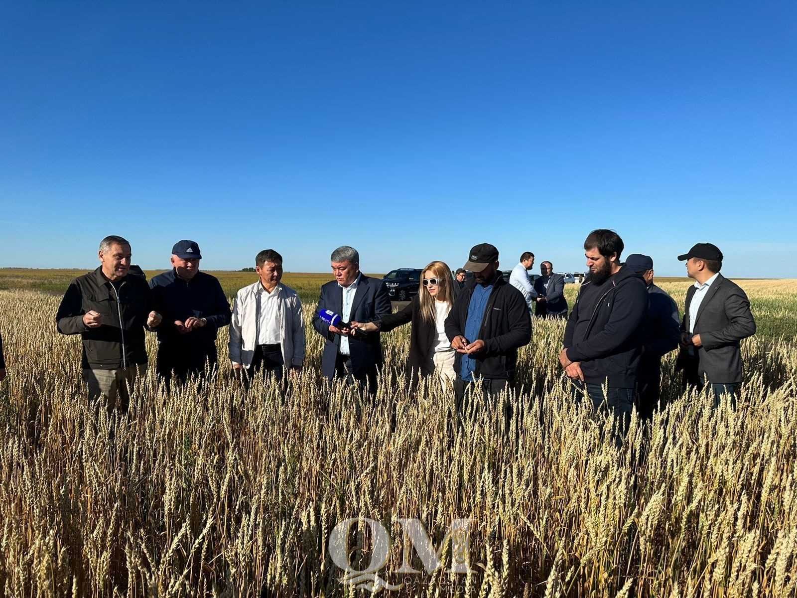 Начало уборки и День поля отметили аграрии северного Казахстана