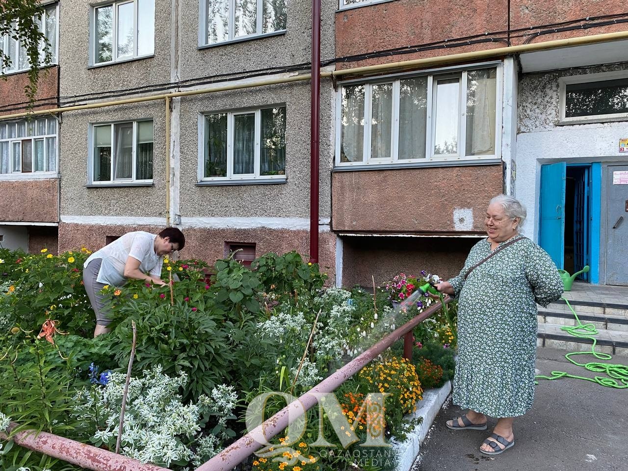 Цветочный рай создают в своём дворе жители Петропавловска