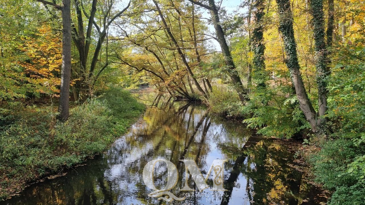 Синоптики рассказали каким будет сентябрь на севере Казахстана
