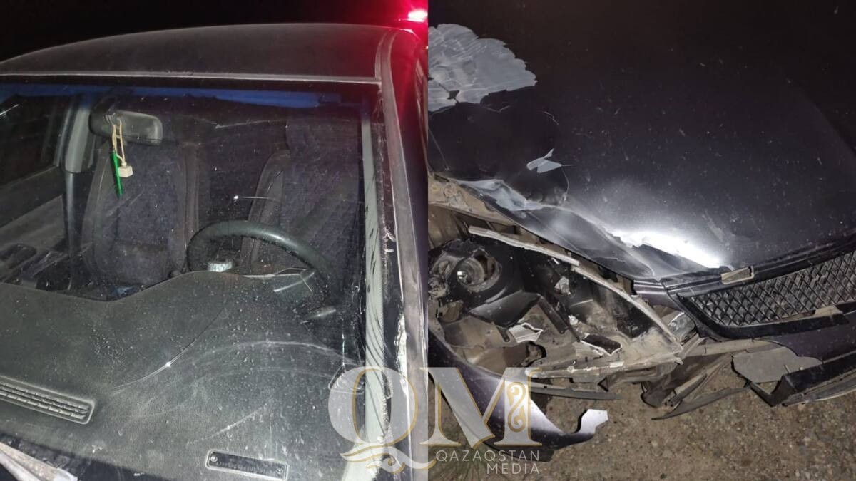 Свободно гуляющая лошадь стала участницей ДТП в СКО