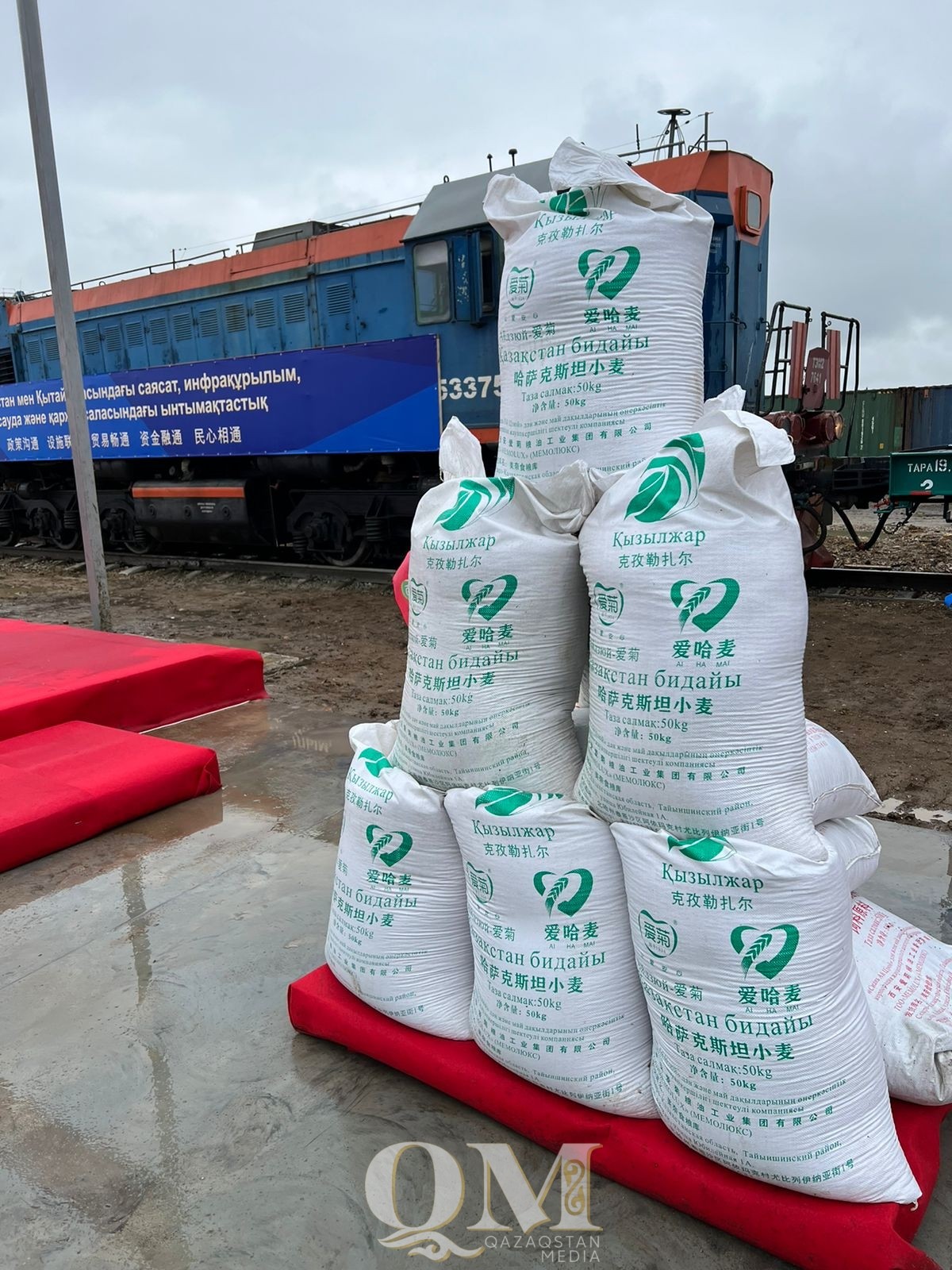 Свыше 1,5 тысяч тонн зерна отправили в Китай из СКО