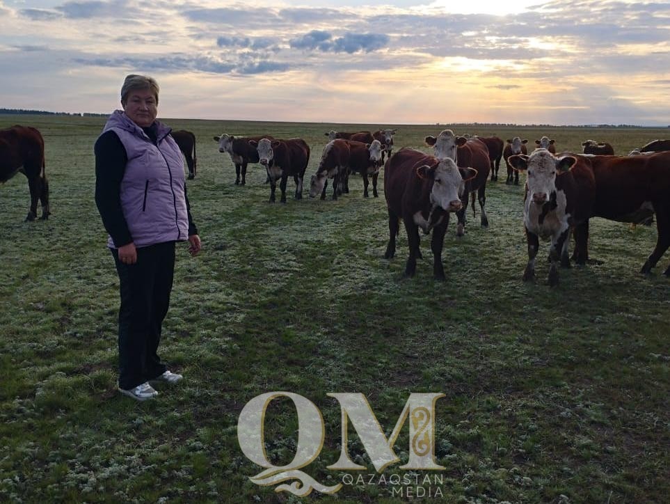 Дисциплина и ответственность: зоотехник из СКО рассказала о своей профессии