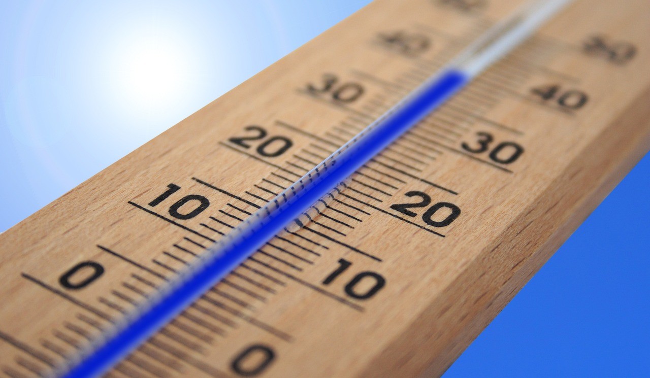 Понижение температуры воздуха до одного градуса прогнозируют синоптики в СКО