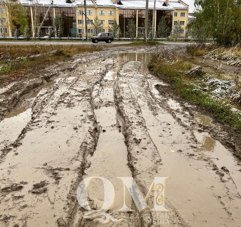 ять лет ждут обещанного ремонта дороги жители поселка Борки