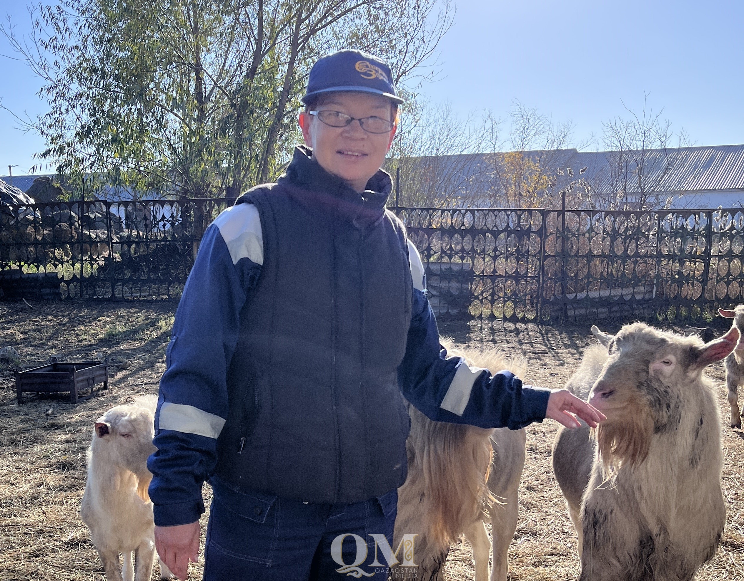 Мороженое из козьего молока