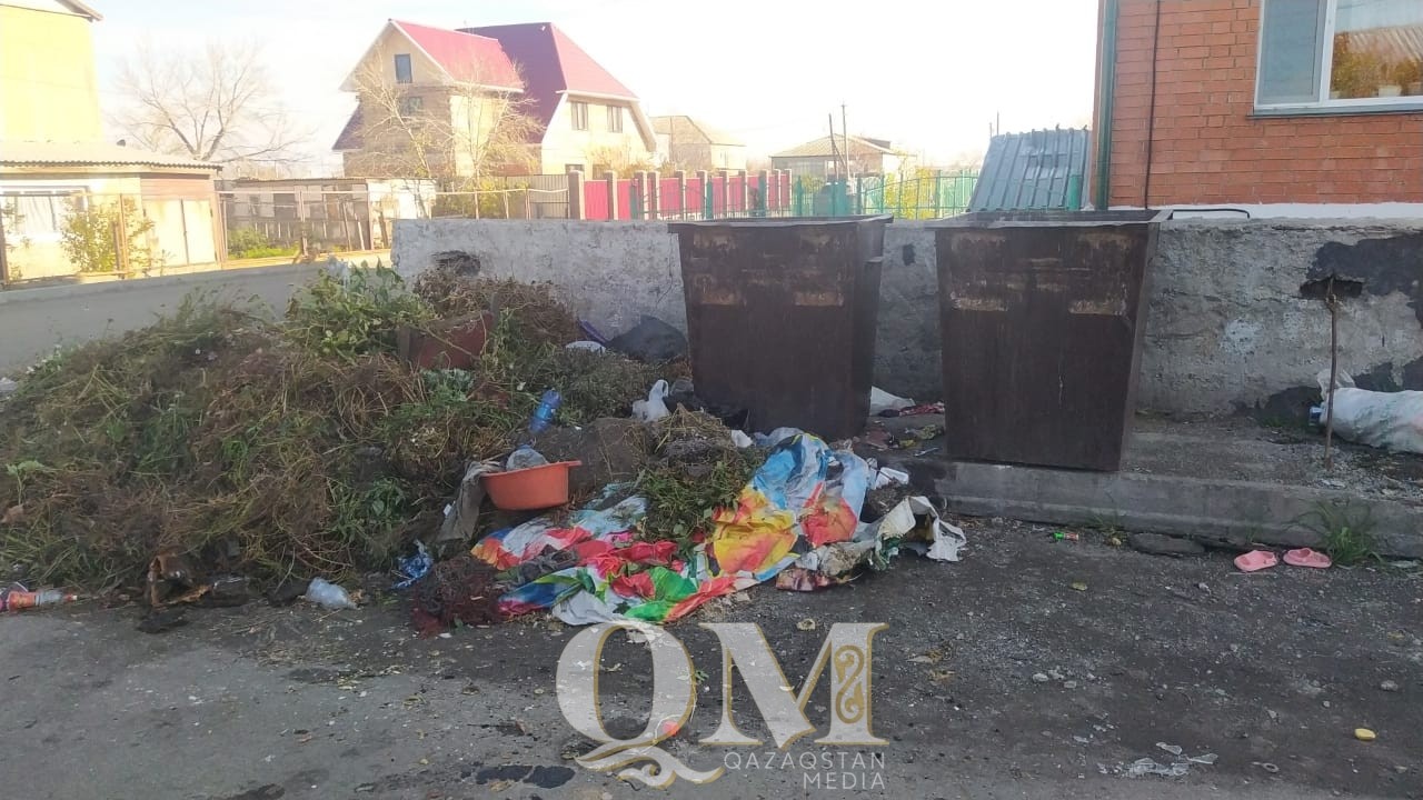 На горы мусора жалуются жители села Новоишимского в СКО