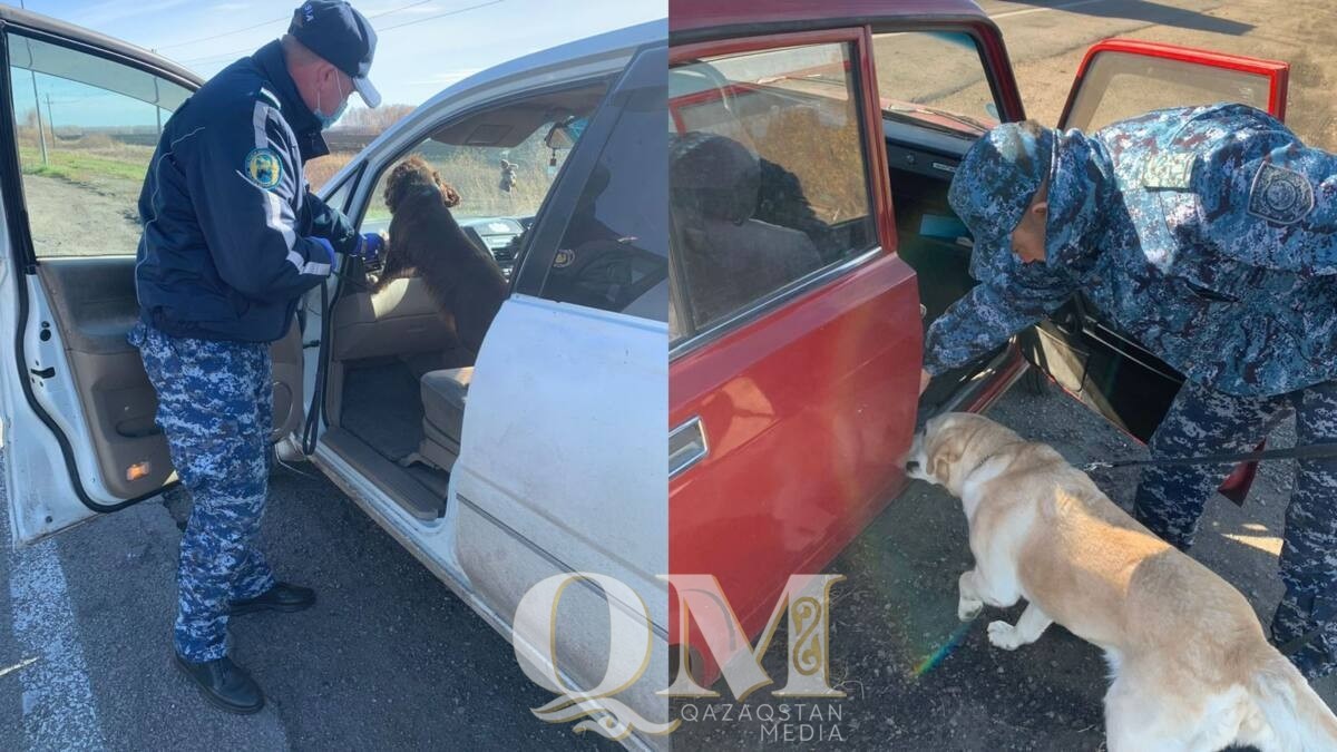 Гашиш в шкатулке хранил житель Петропавловска