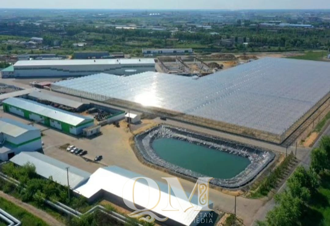 В Петропавловске завершается строительство тепличного комплекса