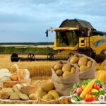 Облыста ауыл шаруашылығының көрсеткіші төмендеді