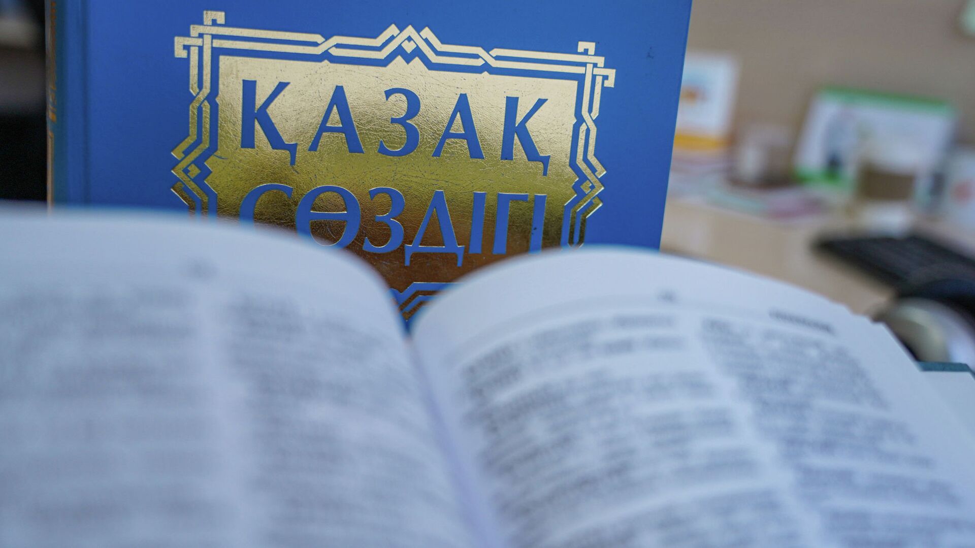 Бесплатные курсы казахского языка открыли в Мамлютском районе СКО