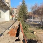 Ради ремонта крыльца магазина вырубили здоровые ели в Петропавловске