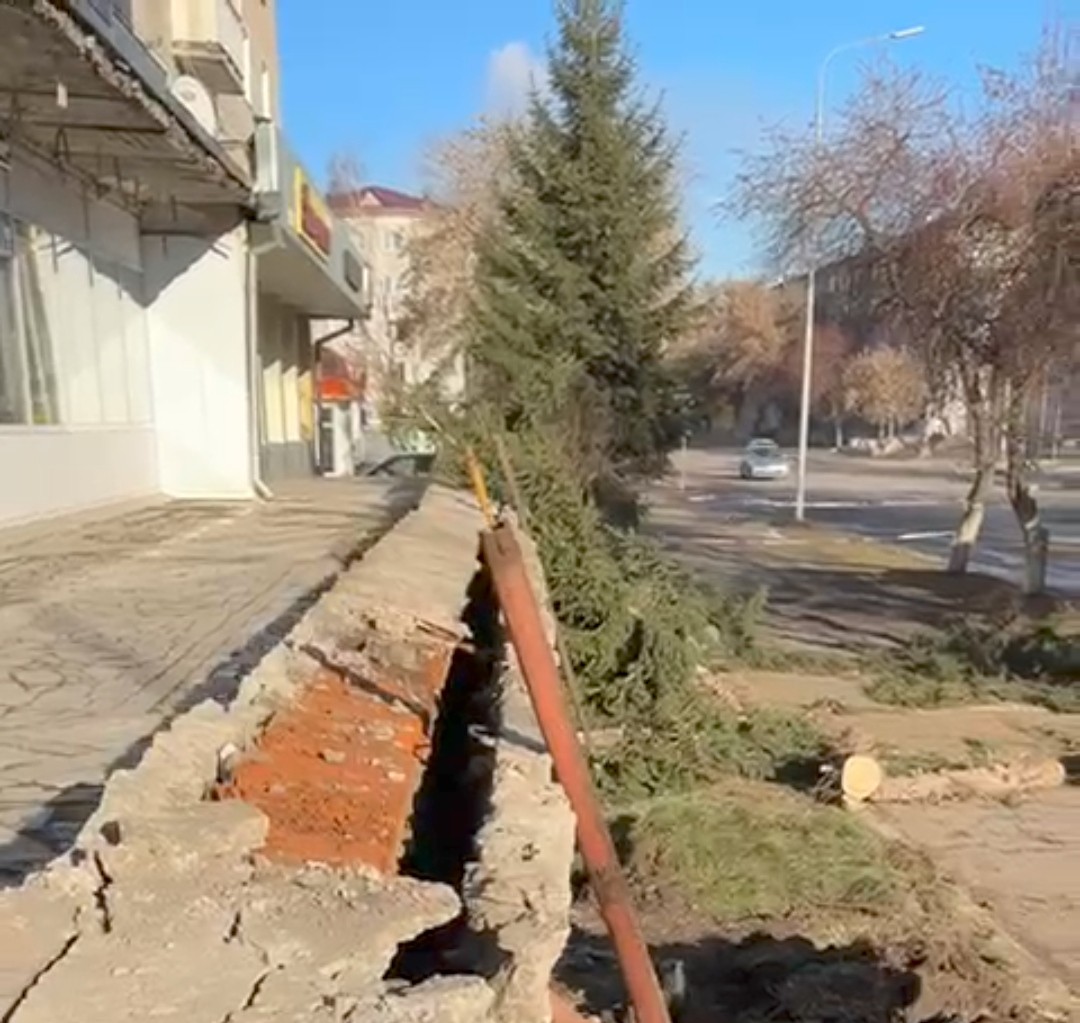 Ради ремонта крыльца магазина вырубили здоровые ели в Петропавловске