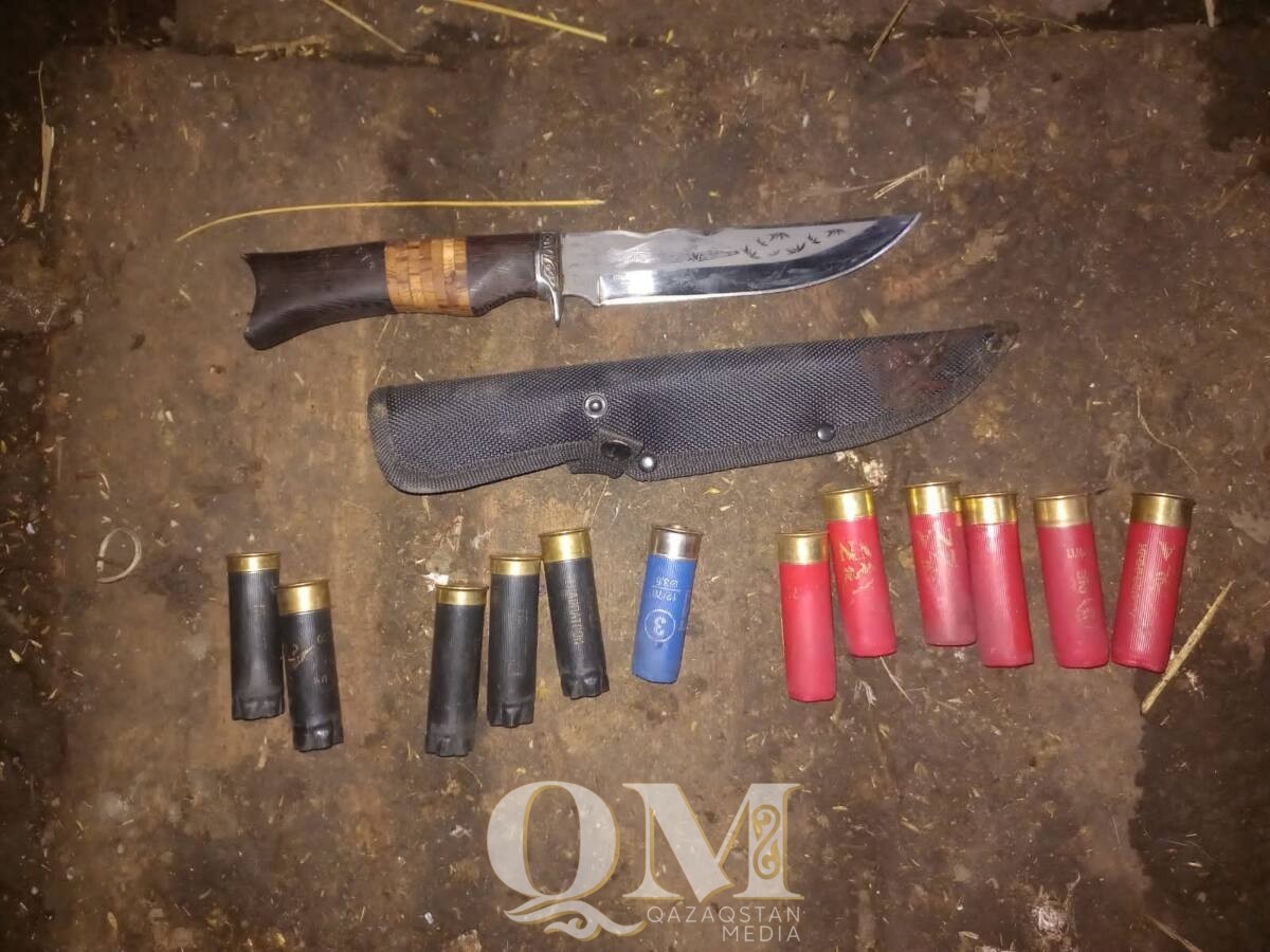 Четырех косуль отстрелили браконьеры в СКО