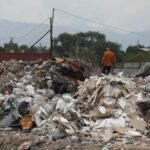 СҚО-да заңсыз үйілген 200-ге жуық қоқыс орны анықталды