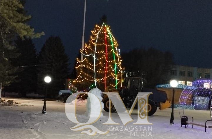 На месте сгоревшей ёлки в за ночь установили новую в райцентре СКО