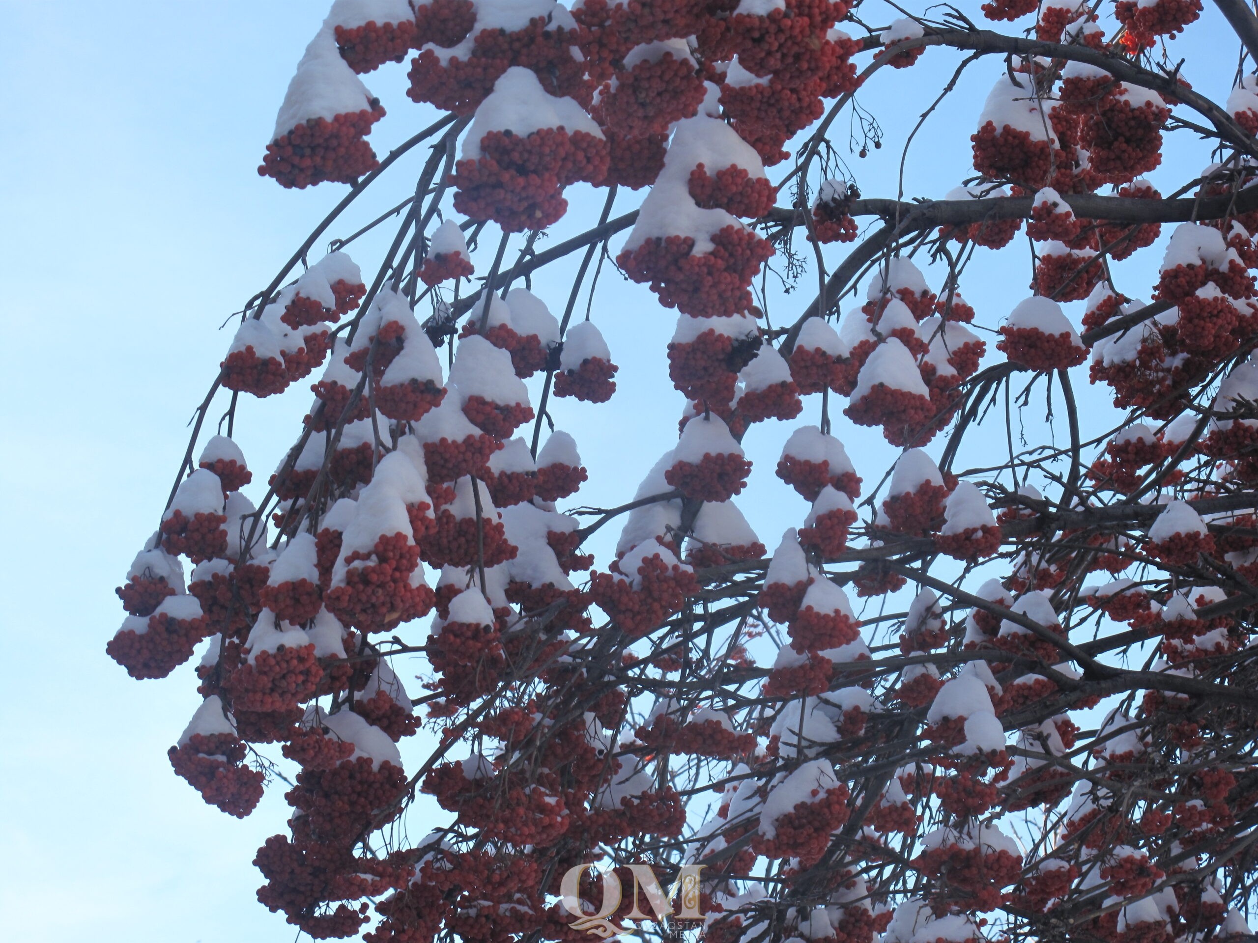 Синоптики рассказали о погоде в феврале на севере Казахстана