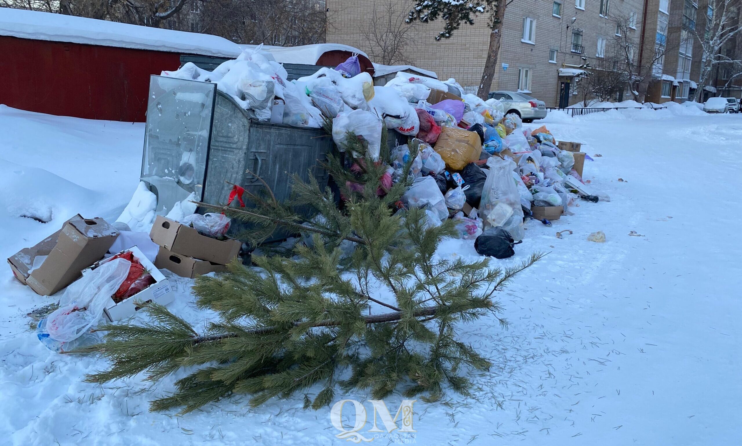 До 400 тысяч тенге штраф за выброшенную новогоднюю елку в Петропавловске