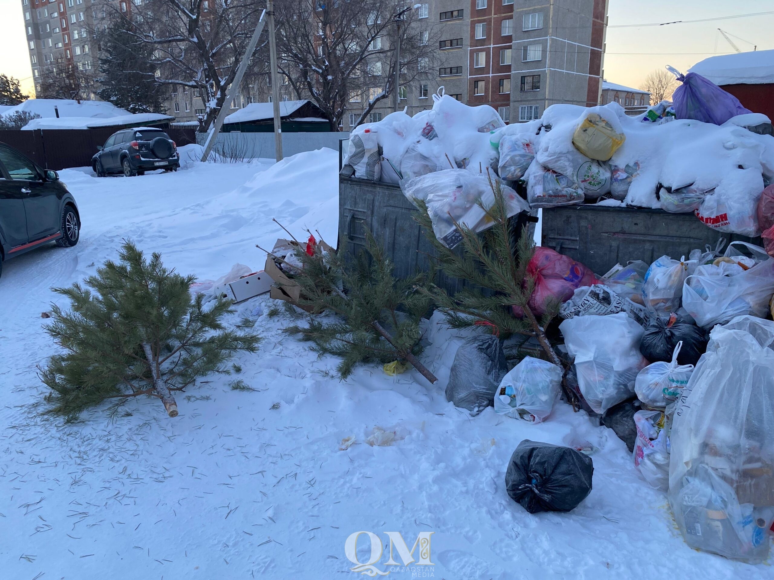До 400 тысяч тенге штраф за выброшенную новогоднюю елку в Петропавловске