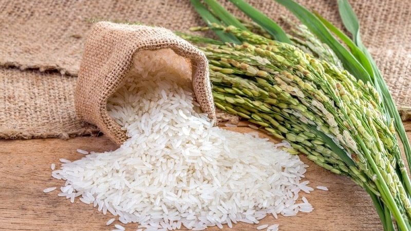 Цены на рис могут вырасти в Казахстане