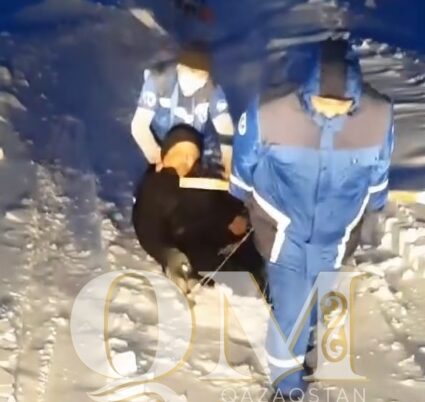 Мужчину с инсультом врачи везли на санях в Кызылжарском районе СКО
