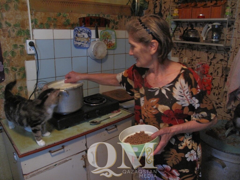 “Это болезнь, хуже наркомании” - пенсионерка из Петропавловска держит дома 78 кошек