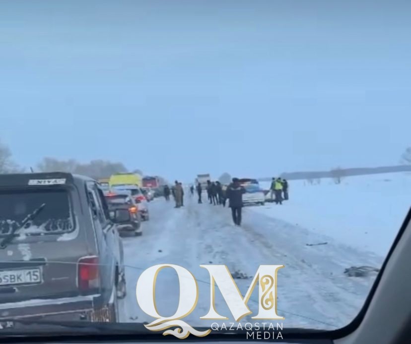 СҚО-да екі адамның өмірін қиған жол апатына қатысты қылмыстық іс қозғалды