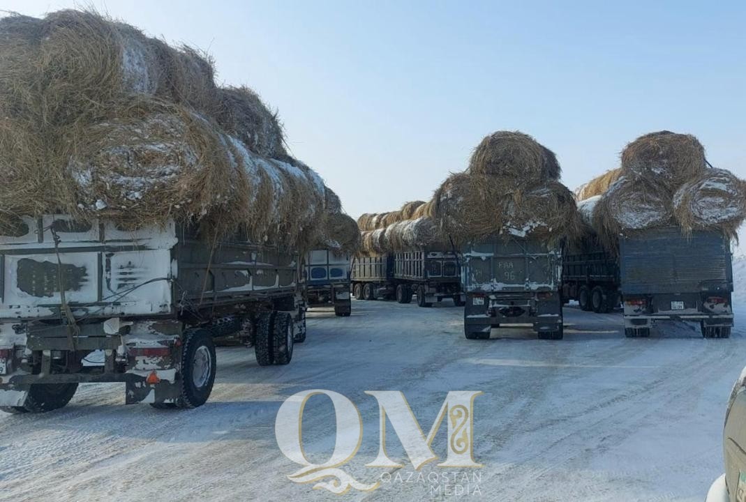 560 тюков сена завезли в СКО из Павлодарской области