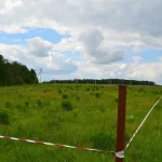 СҚО-да шенеуніктер балабақша салу үшін заңды бұзып, 1,7 млрд теңгеге мемлекеттік сатып алулар жүргізген