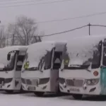 Петропавл қалалық әкімдігі жолаушыларды тасымалдайтын мердігер компанияларға қарыз