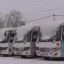 Петропавл қалалық әкімдігі жолаушыларды тасымалдайтын мердігер компанияларға қарыз